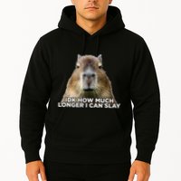 Idk How Much Longer I Can Slay Capybara Sarcastic Dank Meme Hoodie
