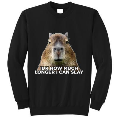 Idk How Much Longer I Can Slay Capybara Sarcastic Dank Meme Sweatshirt