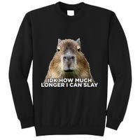 Idk How Much Longer I Can Slay Capybara Sarcastic Dank Meme Sweatshirt