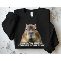 Idk How Much Longer I Can Slay Capybara Sarcastic Dank Meme Sweatshirt