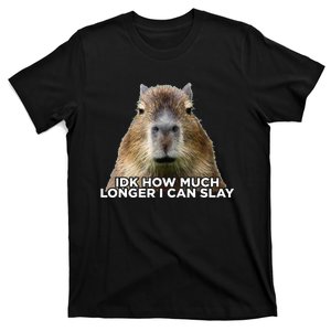 Idk How Much Longer I Can Slay Capybara Sarcastic Dank Meme T-Shirt