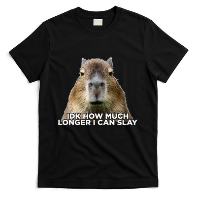 Idk How Much Longer I Can Slay Capybara Sarcastic Dank Meme T-Shirt