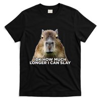 Idk How Much Longer I Can Slay Capybara Sarcastic Dank Meme T-Shirt