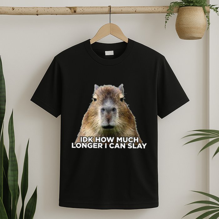 Idk How Much Longer I Can Slay Capybara Sarcastic Dank Meme T-Shirt