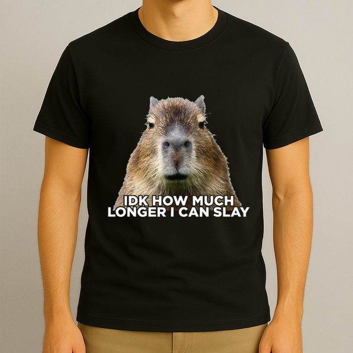 Idk How Much Longer I Can Slay Capybara Sarcastic Dank Meme T-Shirt