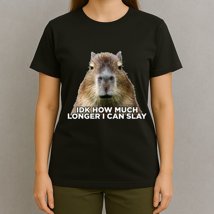 Idk How Much Longer I Can Slay Capybara Sarcastic Dank Meme T-Shirt