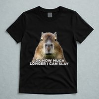Idk How Much Longer I Can Slay Capybara Sarcastic Dank Meme T-Shirt