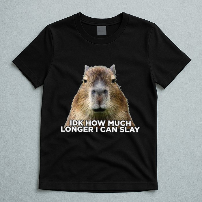 Idk How Much Longer I Can Slay Capybara Sarcastic Dank Meme T-Shirt