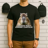 Idk How Much Longer I Can Slay Capybara Sarcastic Dank Meme T-Shirt