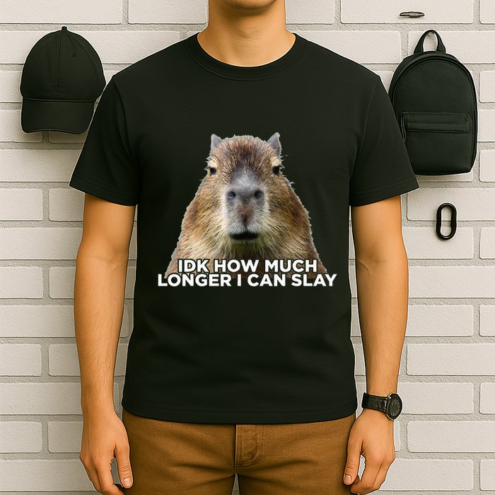 Idk How Much Longer I Can Slay Capybara Sarcastic Dank Meme T-Shirt