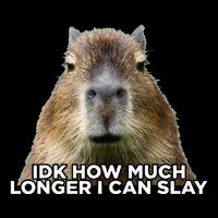 Idk How Much Longer I Can Slay Capybara Sarcastic Dank Meme T-Shirt