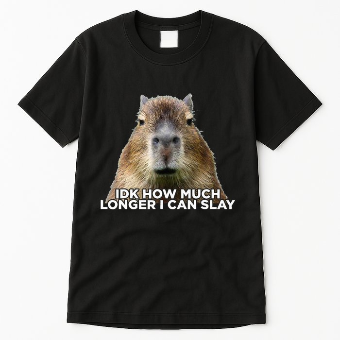 Idk How Much Longer I Can Slay Capybara Sarcastic Dank Meme Tall T-Shirt