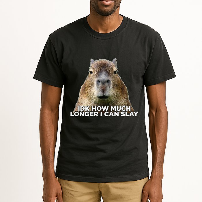Idk How Much Longer I Can Slay Capybara Sarcastic Dank Meme Tall T-Shirt