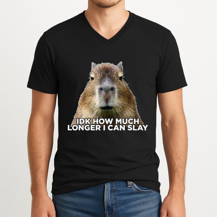 Idk How Much Longer I Can Slay Capybara Sarcastic Dank Meme V-Neck T-Shirt