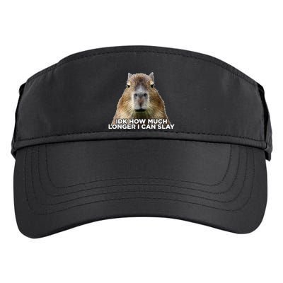 Idk How Much Longer I Can Slay Capybara Sarcastic Dank Meme Adult Drive Performance Visor