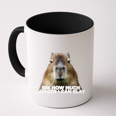 Idk How Much Longer I Can Slay Capybara Sarcastic Dank Meme Mug