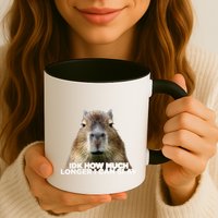 Idk How Much Longer I Can Slay Capybara Sarcastic Dank Meme Mug