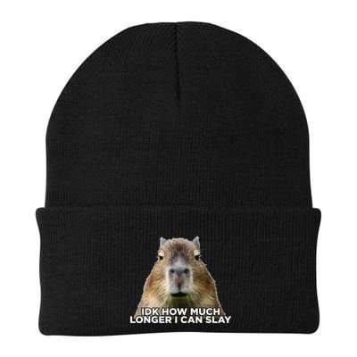 Idk How Much Longer I Can Slay Capybara Sarcastic Dank Meme Beanie