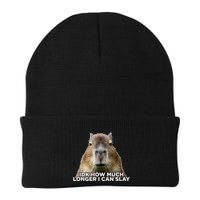 Idk How Much Longer I Can Slay Capybara Sarcastic Dank Meme Beanie