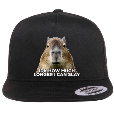 Idk How Much Longer I Can Slay Capybara Sarcastic Dank Meme Flatbill Hat