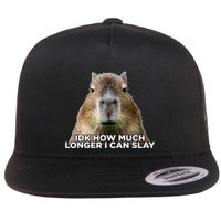 Idk How Much Longer I Can Slay Capybara Sarcastic Dank Meme Flatbill Hat