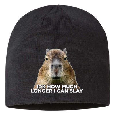Idk How Much Longer I Can Slay Capybara Sarcastic Dank Meme Sustainable Beanie