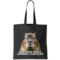 Idk How Much Longer I Can Slay Capybara Sarcastic Dank Meme Bag