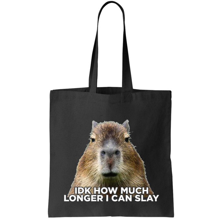 Idk How Much Longer I Can Slay Capybara Sarcastic Dank Meme Bag