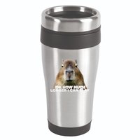 Idk How Much Longer I Can Slay Capybara Sarcastic Dank Meme 16oz Travel Tumbler