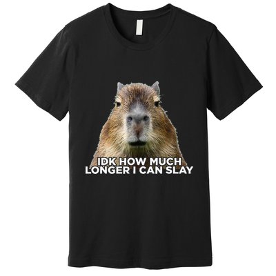 Idk How Much Longer I Can Slay Capybara Sarcastic Dank Meme Premium T-Shirt