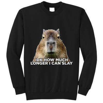 Idk How Much Longer I Can Slay Capybara Sarcastic Dank Meme Tall Sweatshirt