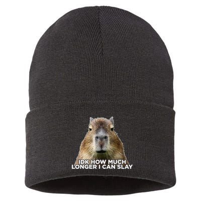 Idk How Much Longer I Can Slay Capybara Sarcastic Dank Meme Sustainable Knit Beanie