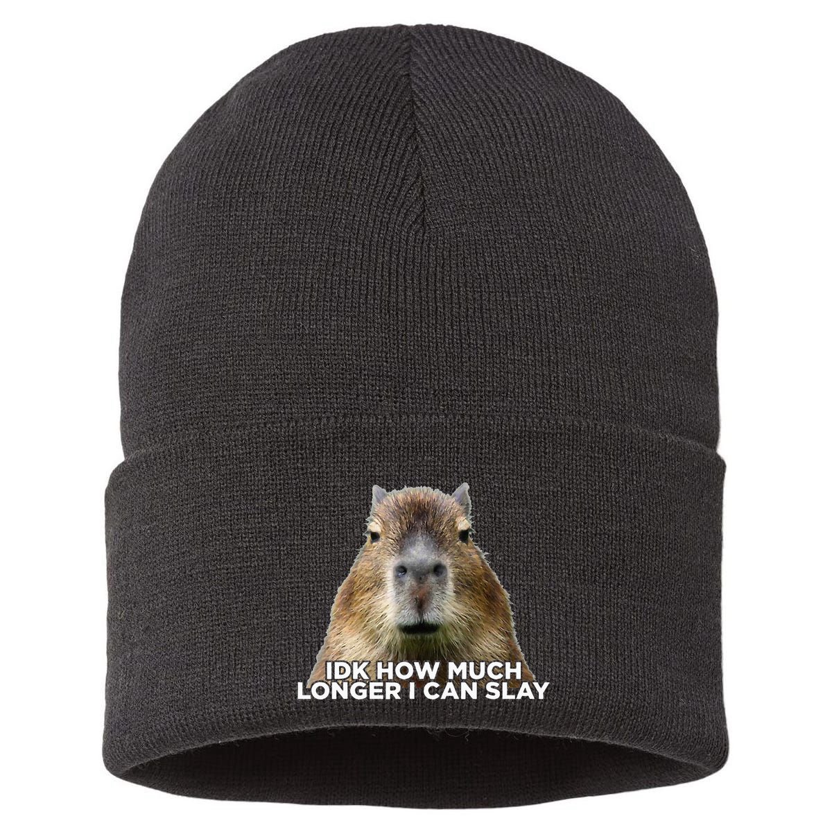 Idk How Much Longer I Can Slay Capybara Sarcastic Dank Meme Sustainable Knit Beanie
