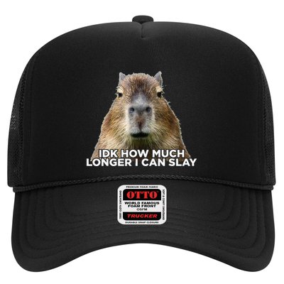 Idk How Much Longer I Can Slay Capybara Sarcastic Dank Meme Trucker Hat