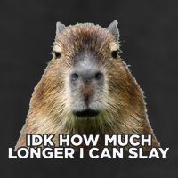 Idk How Much Longer I Can Slay Capybara Sarcastic Dank Meme Trucker Hat