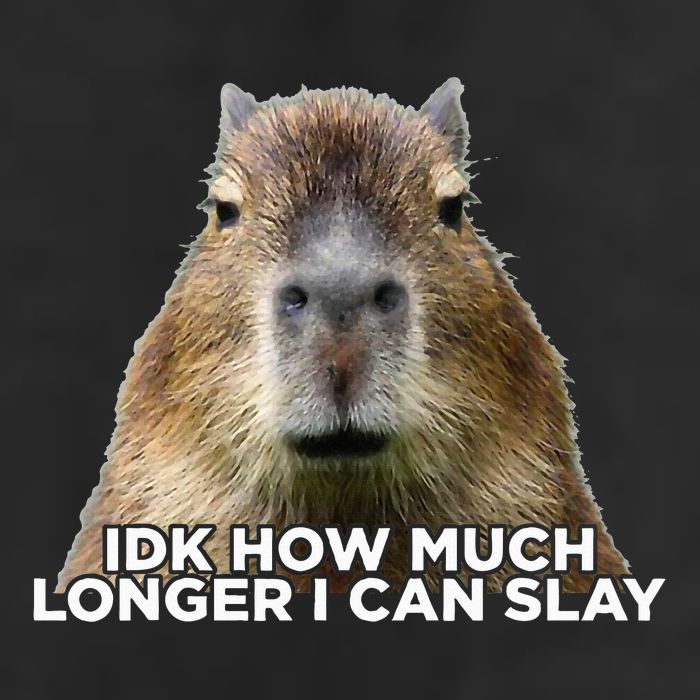 Idk How Much Longer I Can Slay Capybara Sarcastic Dank Meme Trucker Hat