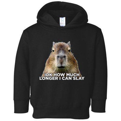 Idk How Much Longer I Can Slay Capybara Sarcastic Dank Meme Toddler Hoodie