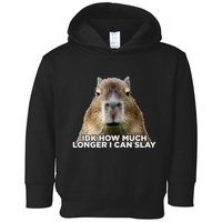 Idk How Much Longer I Can Slay Capybara Sarcastic Dank Meme Toddler Hoodie