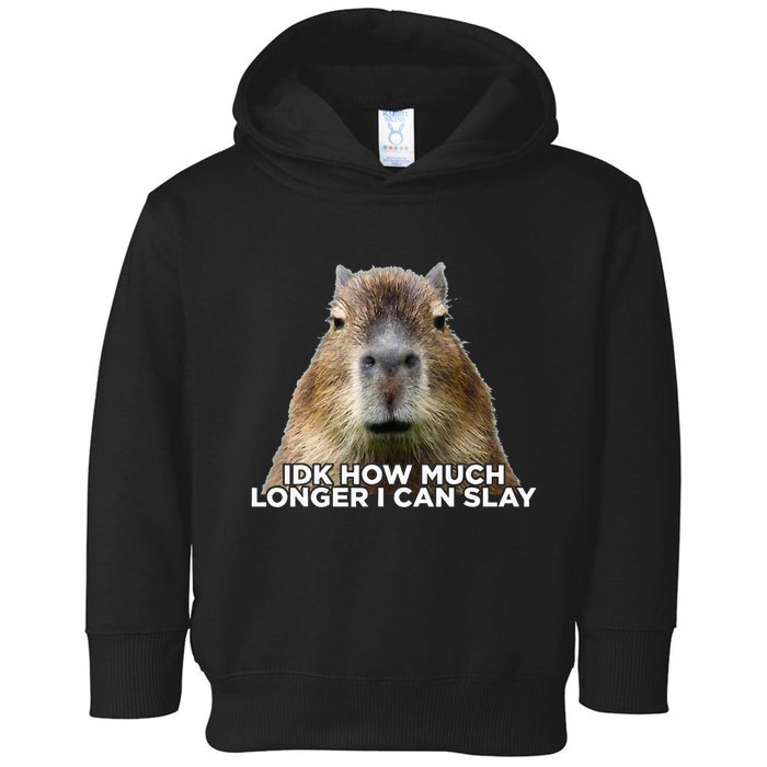Idk How Much Longer I Can Slay Capybara Sarcastic Dank Meme Toddler Hoodie