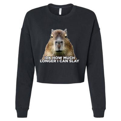 Idk How Much Longer I Can Slay Capybara Sarcastic Dank Meme Cropped Pullover Crew
