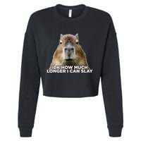 Idk How Much Longer I Can Slay Capybara Sarcastic Dank Meme Cropped Pullover Crew