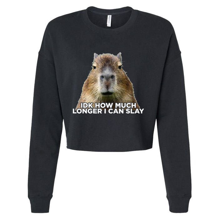 Idk How Much Longer I Can Slay Capybara Sarcastic Dank Meme Cropped Pullover Crew
