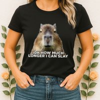 Idk How Much Longer I Can Slay Capybara Sarcastic Dank Meme Womens T-Shirt