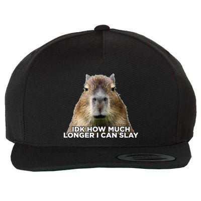 Idk How Much Longer I Can Slay Capybara Sarcastic Dank Meme Wool Snapback Cap