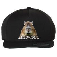 Idk How Much Longer I Can Slay Capybara Sarcastic Dank Meme Wool Snapback Cap