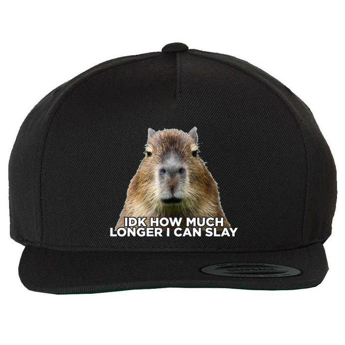 Idk How Much Longer I Can Slay Capybara Sarcastic Dank Meme Wool Snapback Cap