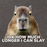 Idk How Much Longer I Can Slay Capybara Sarcastic Dank Meme Cotton Canvas Backpack