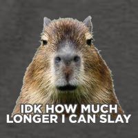 Idk How Much Longer I Can Slay Capybara Sarcastic Dank Meme Vector Backpack