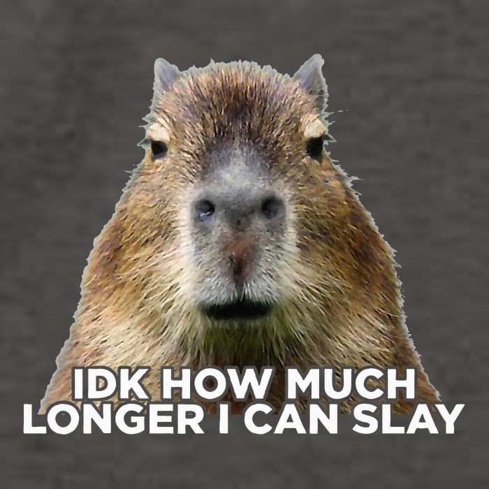Idk How Much Longer I Can Slay Capybara Sarcastic Dank Meme Vector Backpack