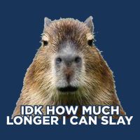 Idk How Much Longer I Can Slay Capybara Sarcastic Dank Meme Infant Baby Jersey Bodysuit